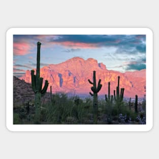 Cactus Sunset Sticker